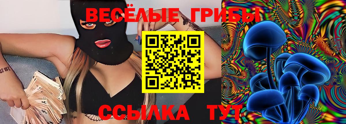 Галлюциногенные грибы мицелий Астрахань